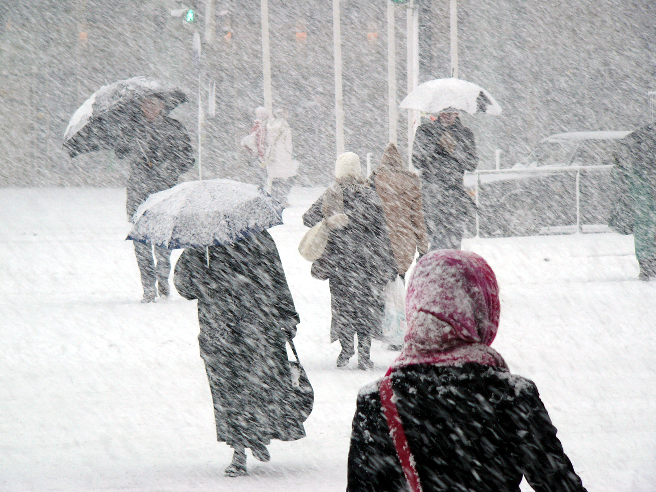 Everything You Need in Your Winter Emergency Kit