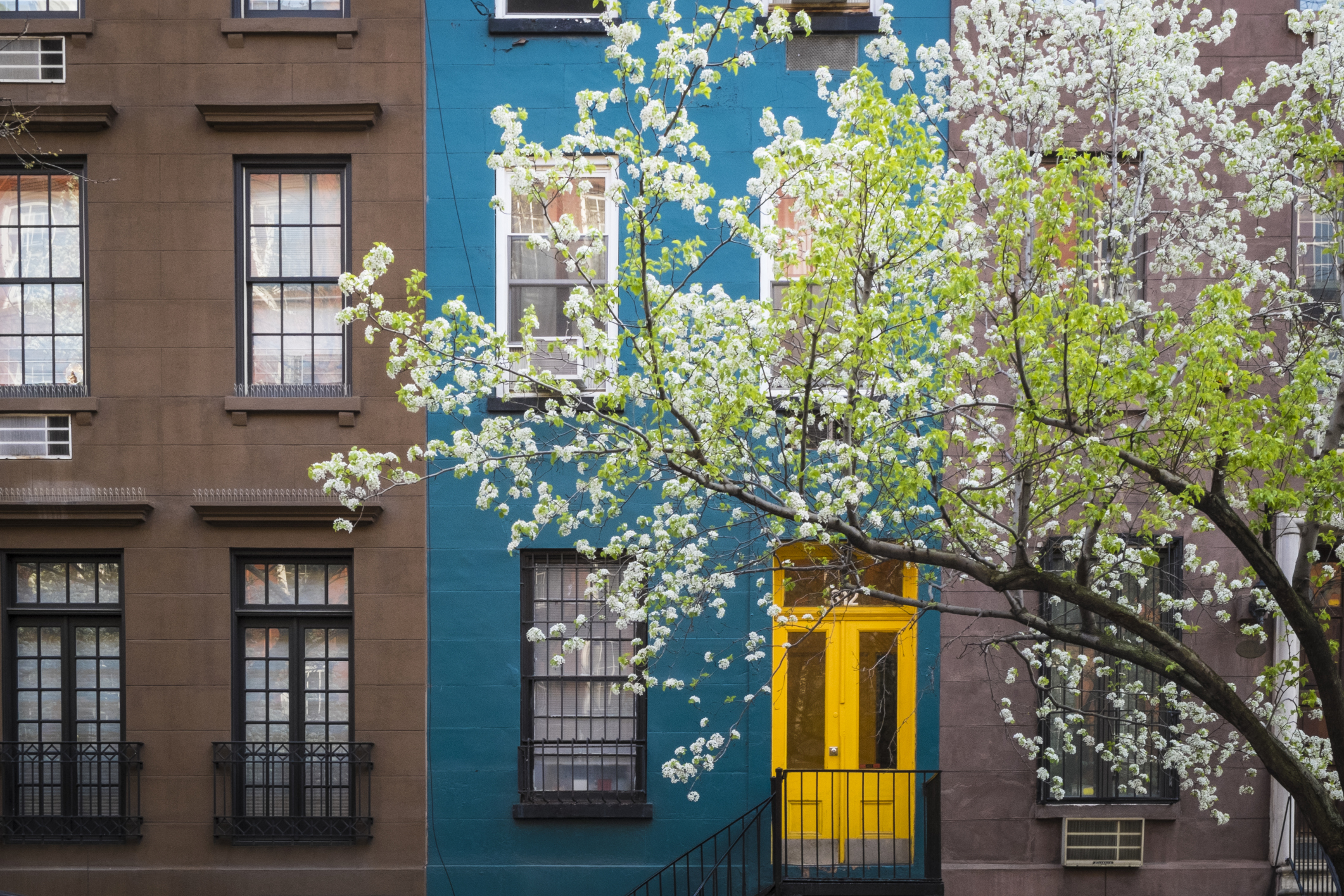 How to Protect Your New York Coop