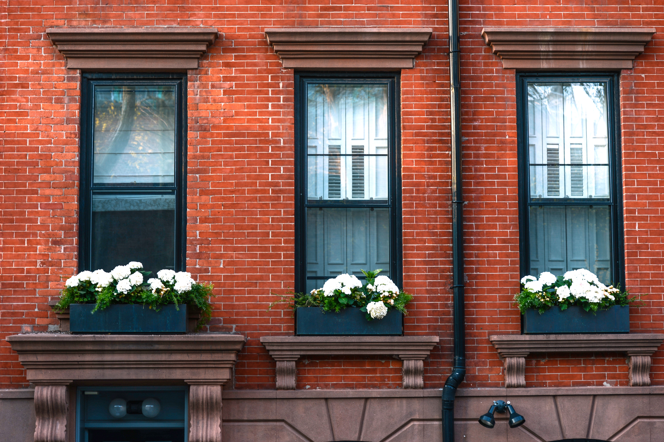 Renters Insurance Policies